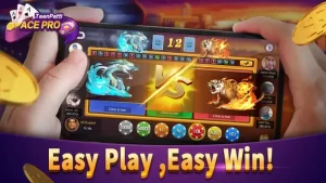 The Dragon Tiger Game